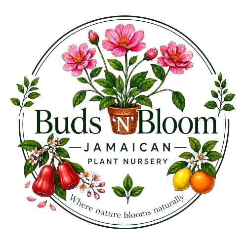 Bud's n Bloom Logo
